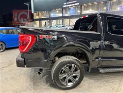 فورد إف-150